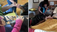 26 Agosto. Giornata Mondiale del Cane .. ricordando l'esperienza di Pet Therapy in Casa Serena lo scorso Aprile e Maggio con l'Associazione MIRUA